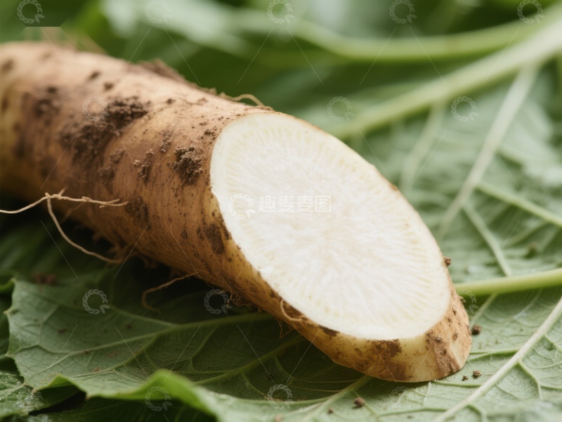 高清大图下载【趣麦麦图】新鲜切开的山药特写
