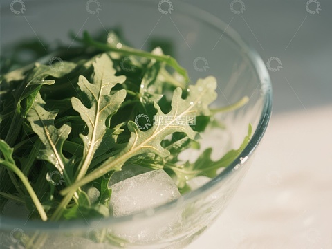 冰镇新鲜芝麻菜