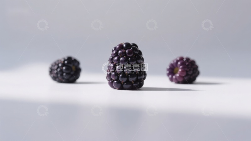 高清大图下载【趣麦麦图】三颗黑莓静置于白色背景