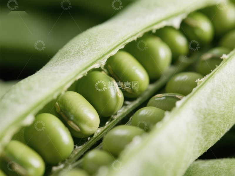 高清大图下载【趣麦麦图】新鲜豌豆荚特写