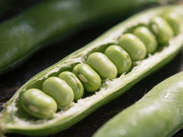 新鲜豌豆荚特写