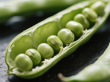 新鲜豌豆荚特写