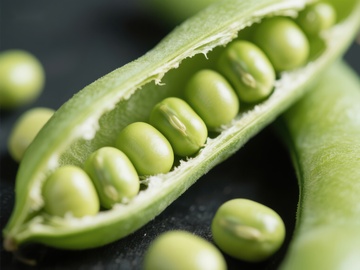 新鲜豌豆荚特写