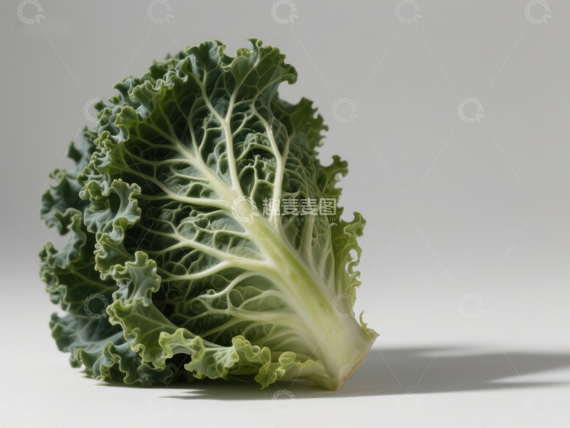 高清大图下载【趣麦麦图】新鲜卷心菜的特写