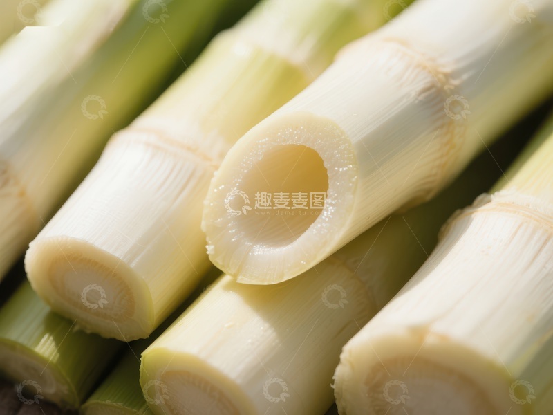 高清大图下载【趣麦麦图】新鲜切段的芹菜茎