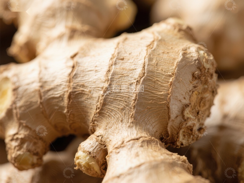 高清大图下载【趣麦麦图】新鲜生姜根部特写