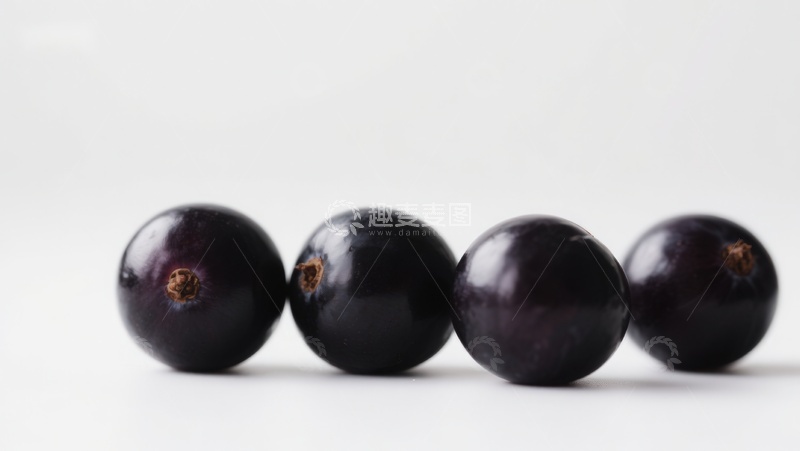 高清大图下载【趣麦麦图】四颗深紫色果实并排展示