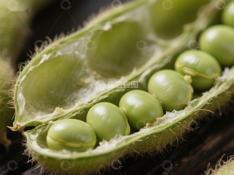 高清大图下载【趣麦麦图】-新鲜豌豆荚特写