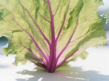 紫茎绿叶蔬菜特写