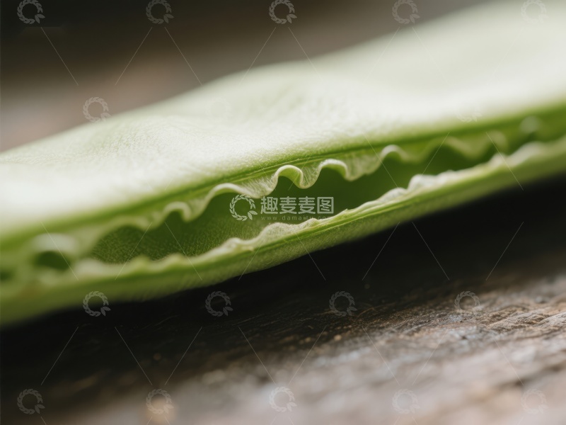 高清大图下载【趣麦麦图】新鲜豆荚的特写细节