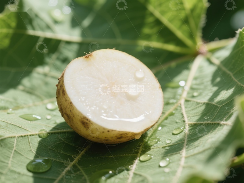 高清大图下载【趣麦麦图】切开的果实置于绿叶之上