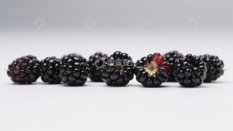 高清大图下载【趣麦麦图】新鲜黑莓整齐排列