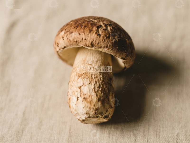 高清大图下载【趣麦麦图】新鲜蘑菇特写