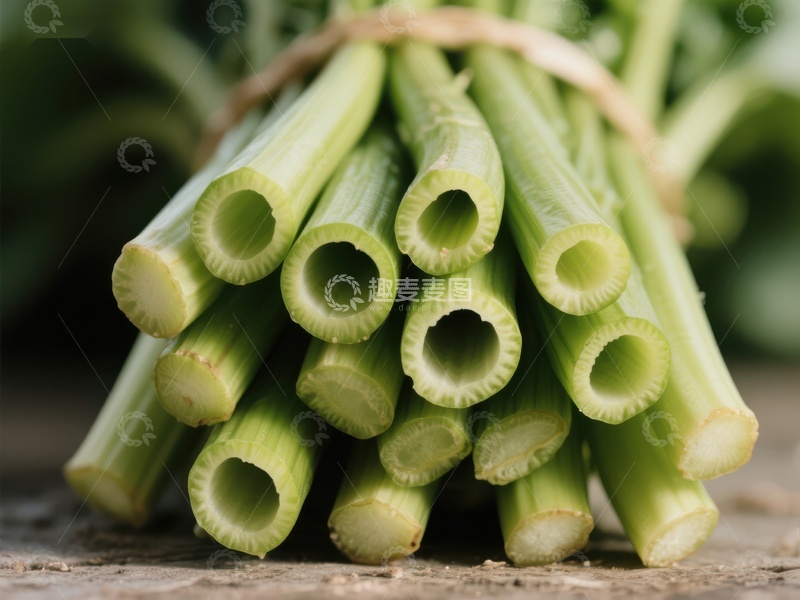 高清大图下载【趣麦麦图】新鲜捆扎的绿色葱段