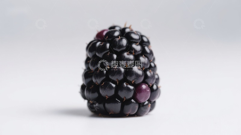 高清大图下载【趣麦麦图】新鲜黑莓特写