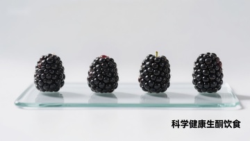 科学健康生酮饮食：黑莓展示