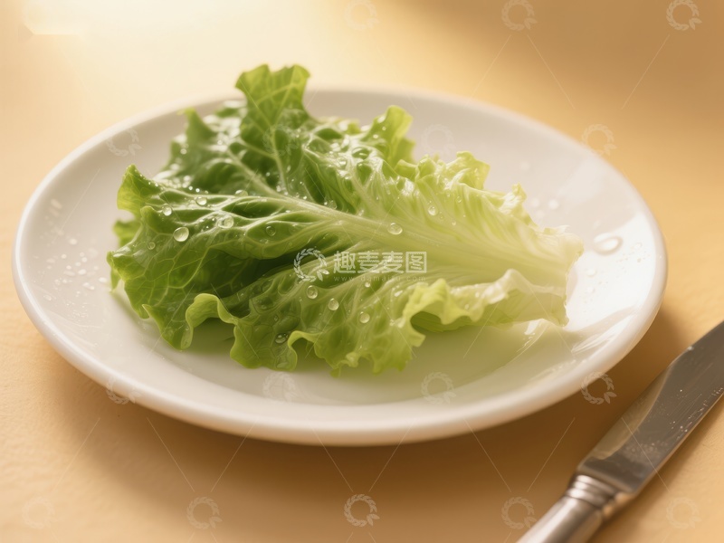 高清大图下载【趣麦麦图】新鲜生菜置于白色盘中