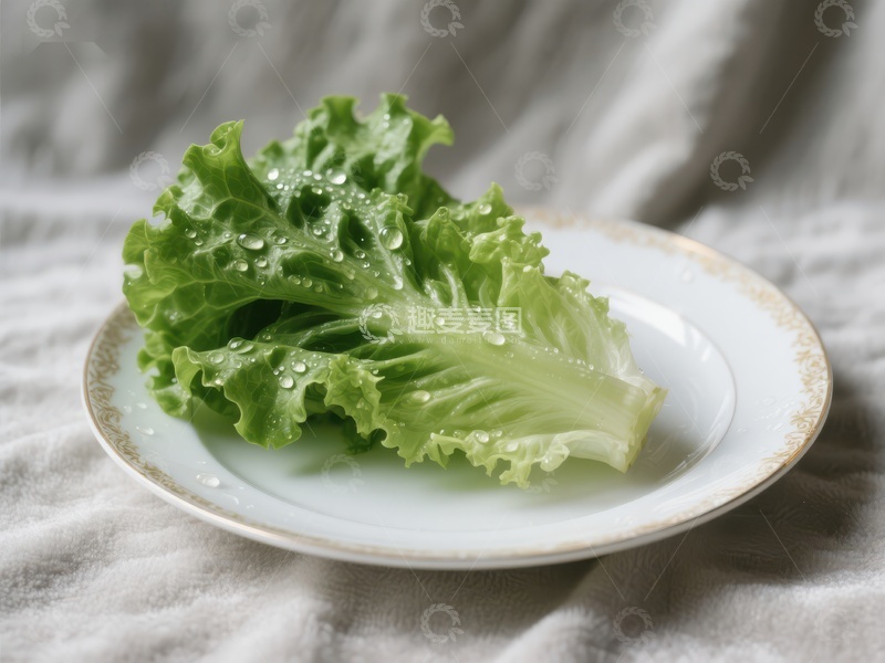 高清大图下载【趣麦麦图】新鲜生菜置于白色盘中