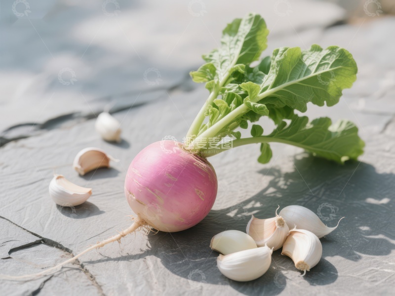 高清大图下载【趣麦麦图】新鲜萝卜与蒜瓣静物图