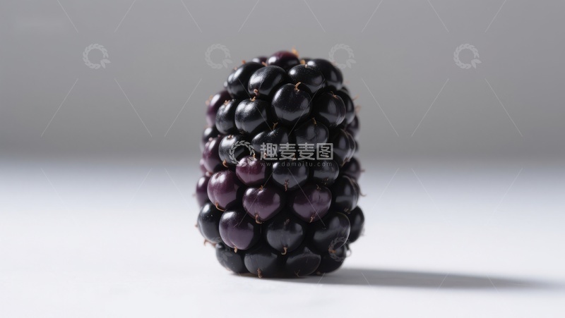高清大图下载【趣麦麦图】新鲜黑莓特写