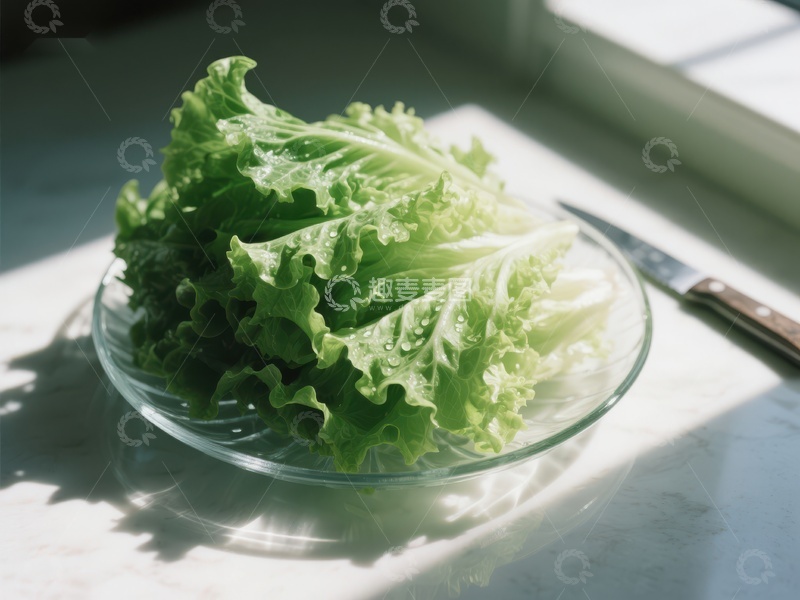 高清大图下载【趣麦麦图】阳光下的生菜