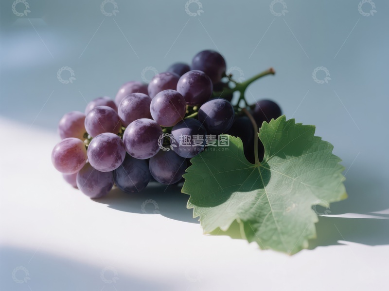高清大图下载【趣麦麦图】新鲜葡萄与绿叶的静物特写
