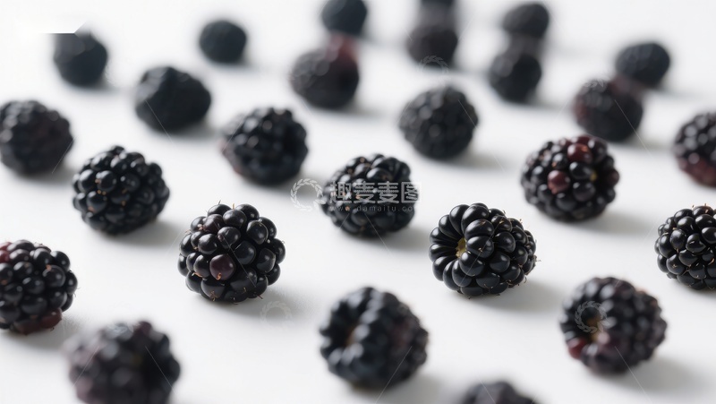 高清大图下载【趣麦麦图】新鲜黑莓整齐排列