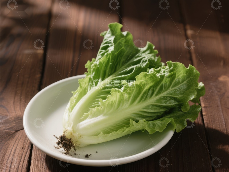 高清大图下载【趣麦麦图】新鲜生菜置于白色盘中