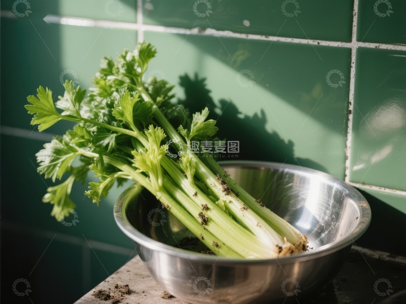 高清大图下载【趣麦麦图】新鲜芹菜置于金属碗中