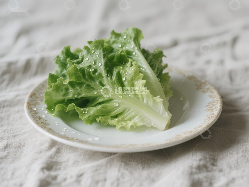 高清大图下载【趣麦麦图】新鲜生菜置于白色盘中