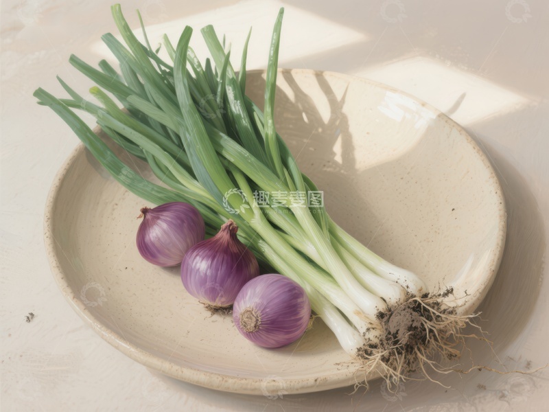 高清大图下载【趣麦麦图】新鲜葱与洋葱置于浅碗中