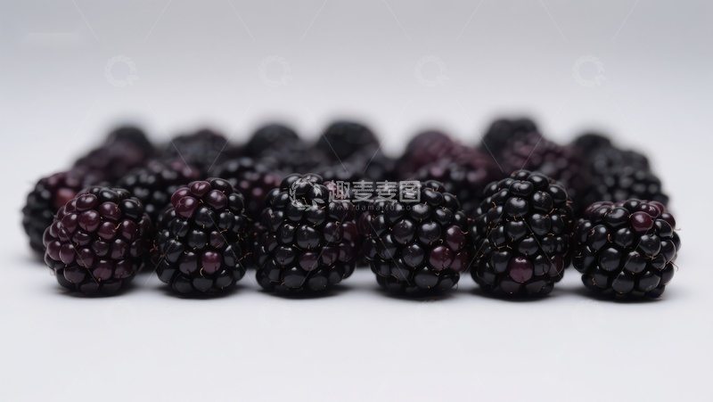高清大图下载【趣麦麦图】新鲜黑莓整齐排列