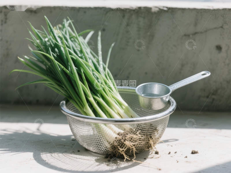 高清大图下载【趣麦麦图】新鲜葱苗置于金属筛中