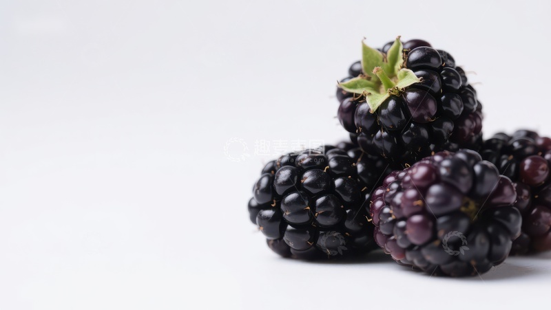 高清大图下载【趣麦麦图】新鲜黑莓堆叠特写