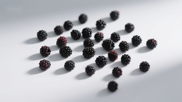 散落的黑莓果实