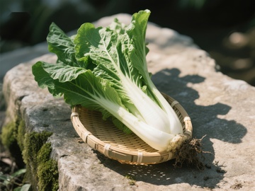 新鲜小白菜置于竹篮中