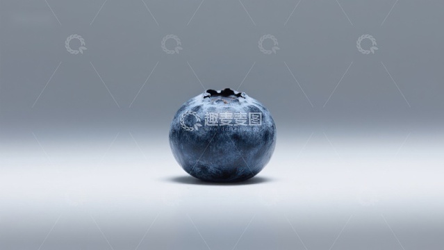 单一蓝莓的静物摄影