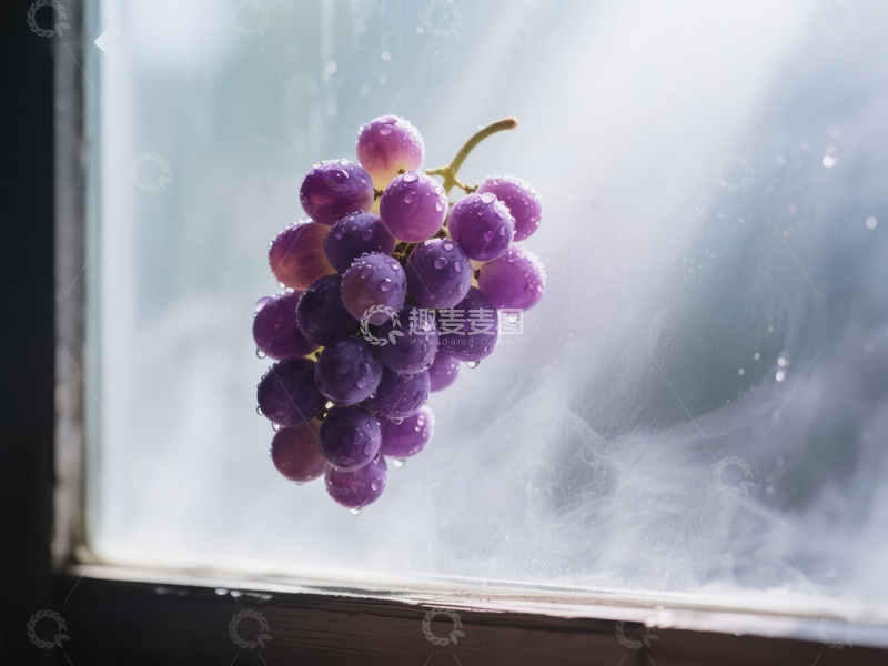 高清大图下载【趣麦麦图】窗前紫葡萄，晨露晶莹