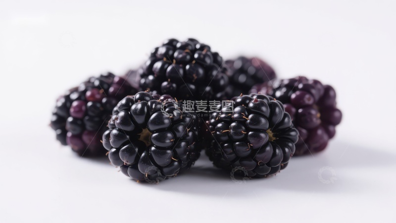 高清大图下载【趣麦麦图】新鲜黑莓特写
