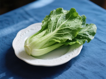 新鲜小白菜置于白色盘中