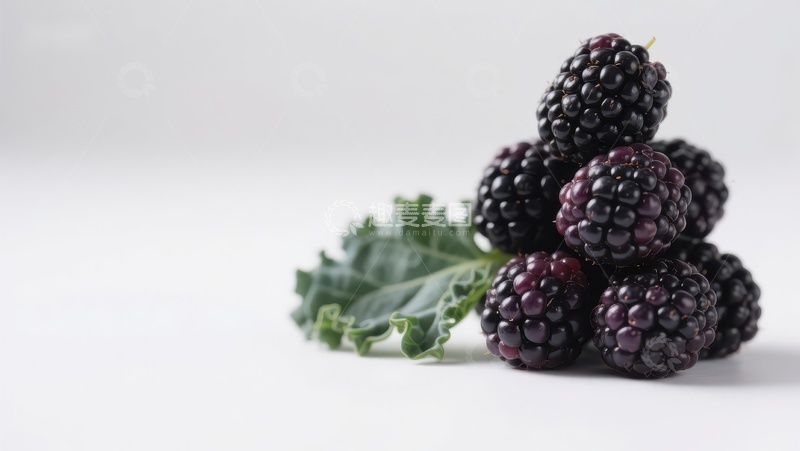 高清大图下载【趣麦麦图】新鲜黑莓堆叠在绿叶旁