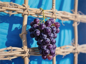 藤蔓上的紫葡萄