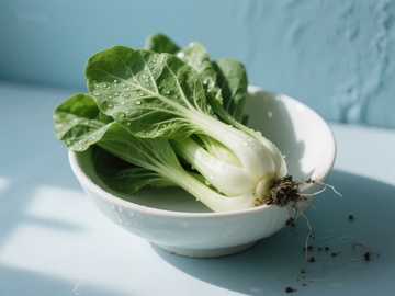 新鲜小白菜置于白色碗中