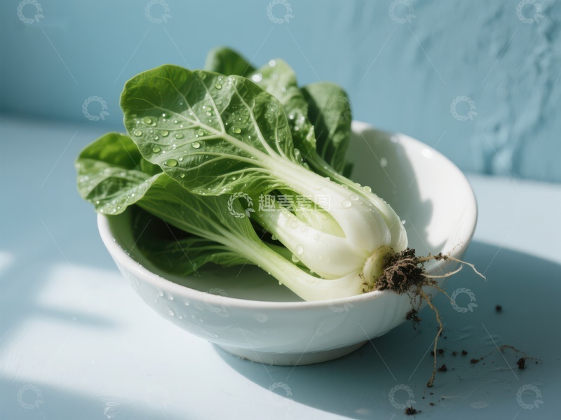 高清大图下载【趣麦麦图】新鲜小白菜置于白色碗中