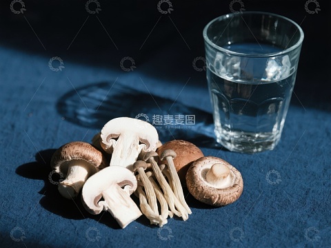 蘑菇与水杯静物图