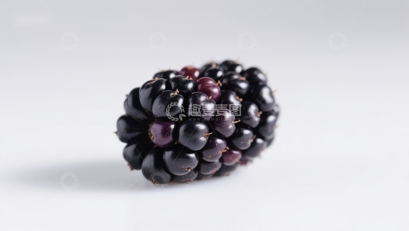 高清大图下载【趣麦麦图】新鲜黑莓特写