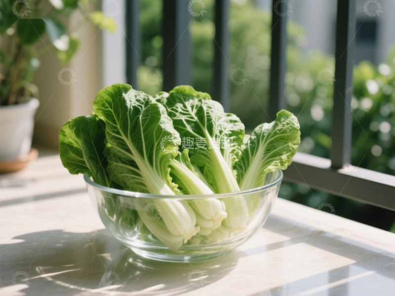 高清大图下载【趣麦麦图】新鲜小白菜置于透明碗中