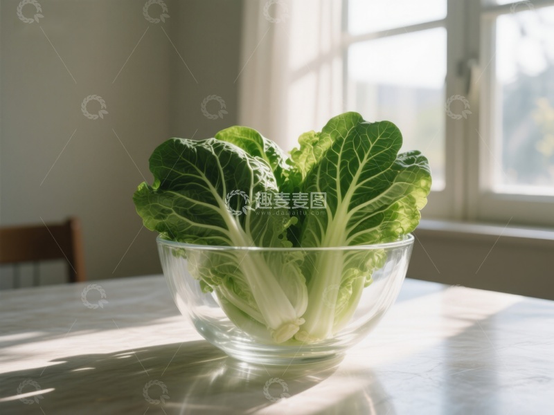 高清大图下载【趣麦麦图】阳光下的青菜