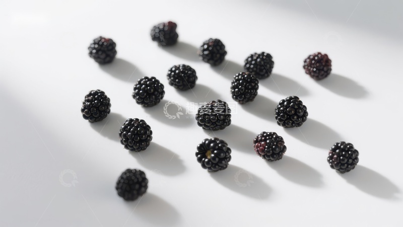 高清大图下载【趣麦麦图】新鲜黑莓散落于白色背景