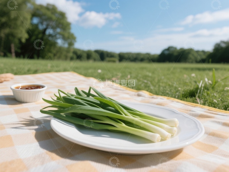高清大图下载【趣麦麦图】户外野餐桌上摆放的新鲜葱段